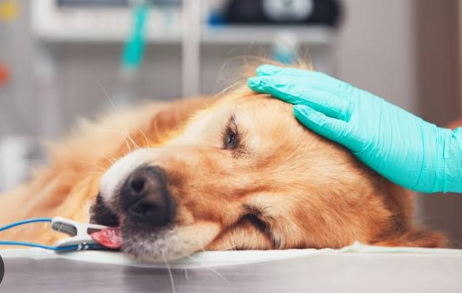 WhatsApp Image 2025-08-29 at 16.23.54.jpeg